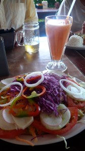 First Meal - Papaya Juice and Hearts of Palm Salad!