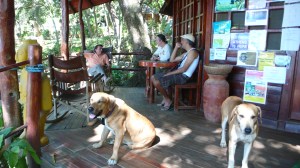 Reception Area at Los Mangos